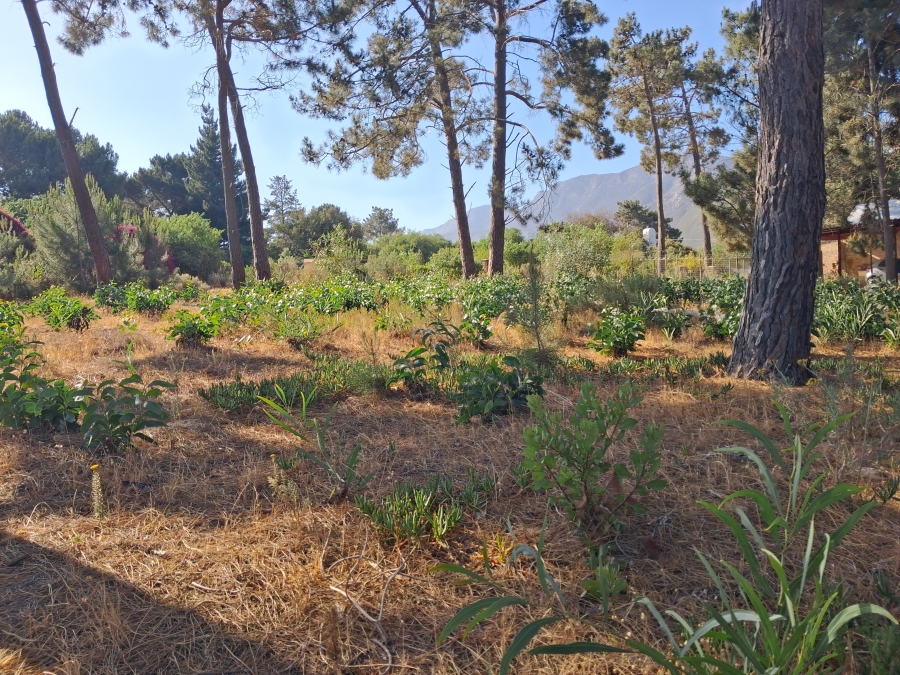 0 Bedroom Property for Sale in Bot River Western Cape